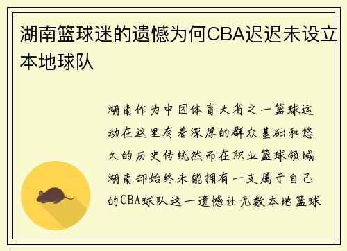湖南篮球迷的遗憾为何CBA迟迟未设立本地球队