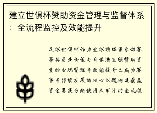 建立世俱杯赞助资金管理与监督体系：全流程监控及效能提升